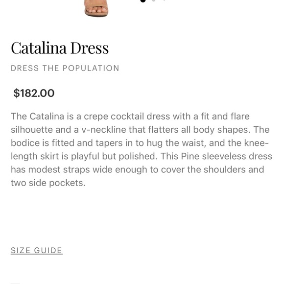 Dress the population Catalina Dress in pine - Picture 2 of 12